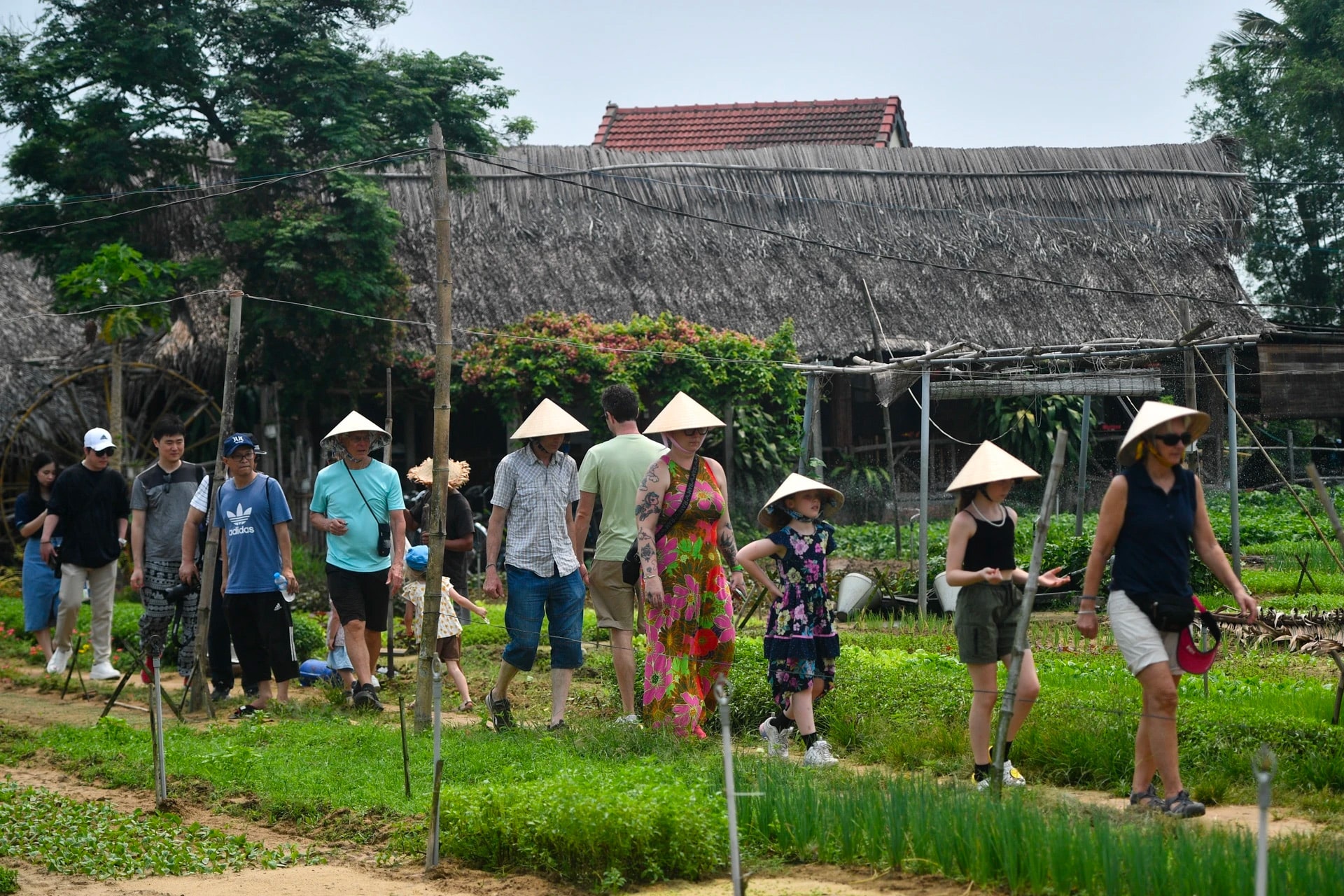 Les Villages Autour de Hoi An à Visiter Absolument : Tra Que, Kim Bong, et Plus Encore